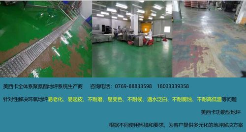 食品廠地坪工程與網(wǎng)頁網(wǎng)站設(shè)計的協(xié)同規(guī)劃與實施